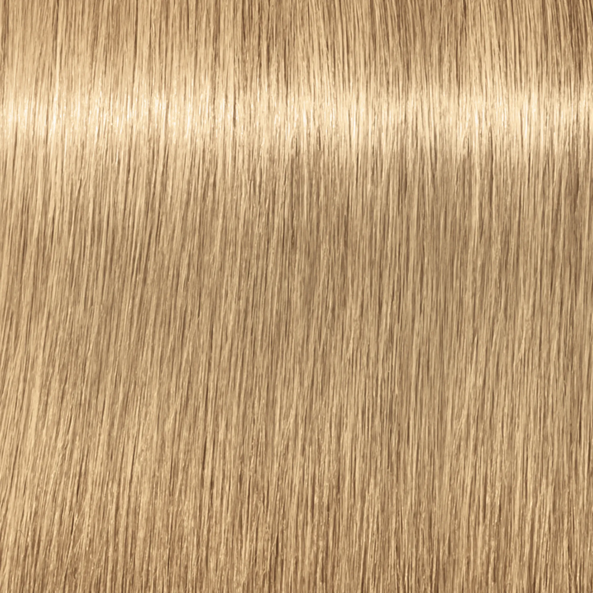 Schwarzkopf Igora Royal  - 1-0 Noir