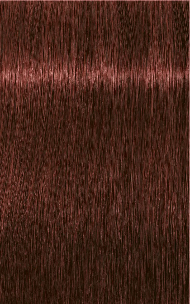 Schwarzkopf Igora Royal Absolutes - 4-60 Châtain moyen marron naturel