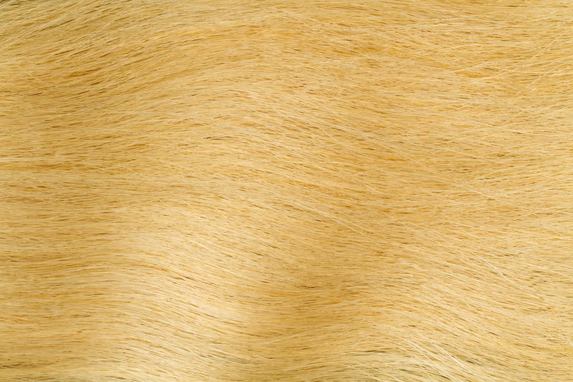 GoldFever Hair Tapes 45 cm