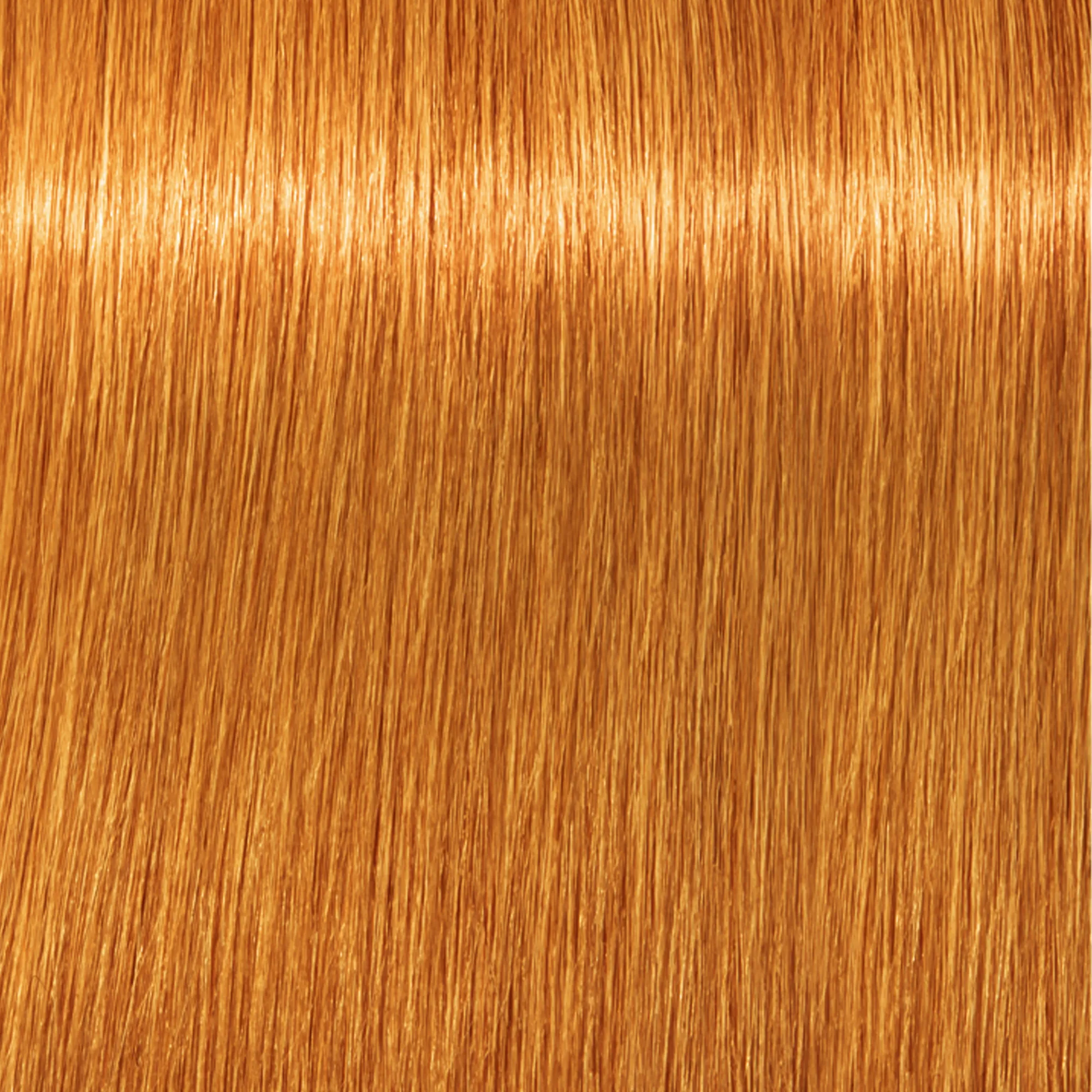 Schwarzkopf Igora Royal  - 1-0 Noir