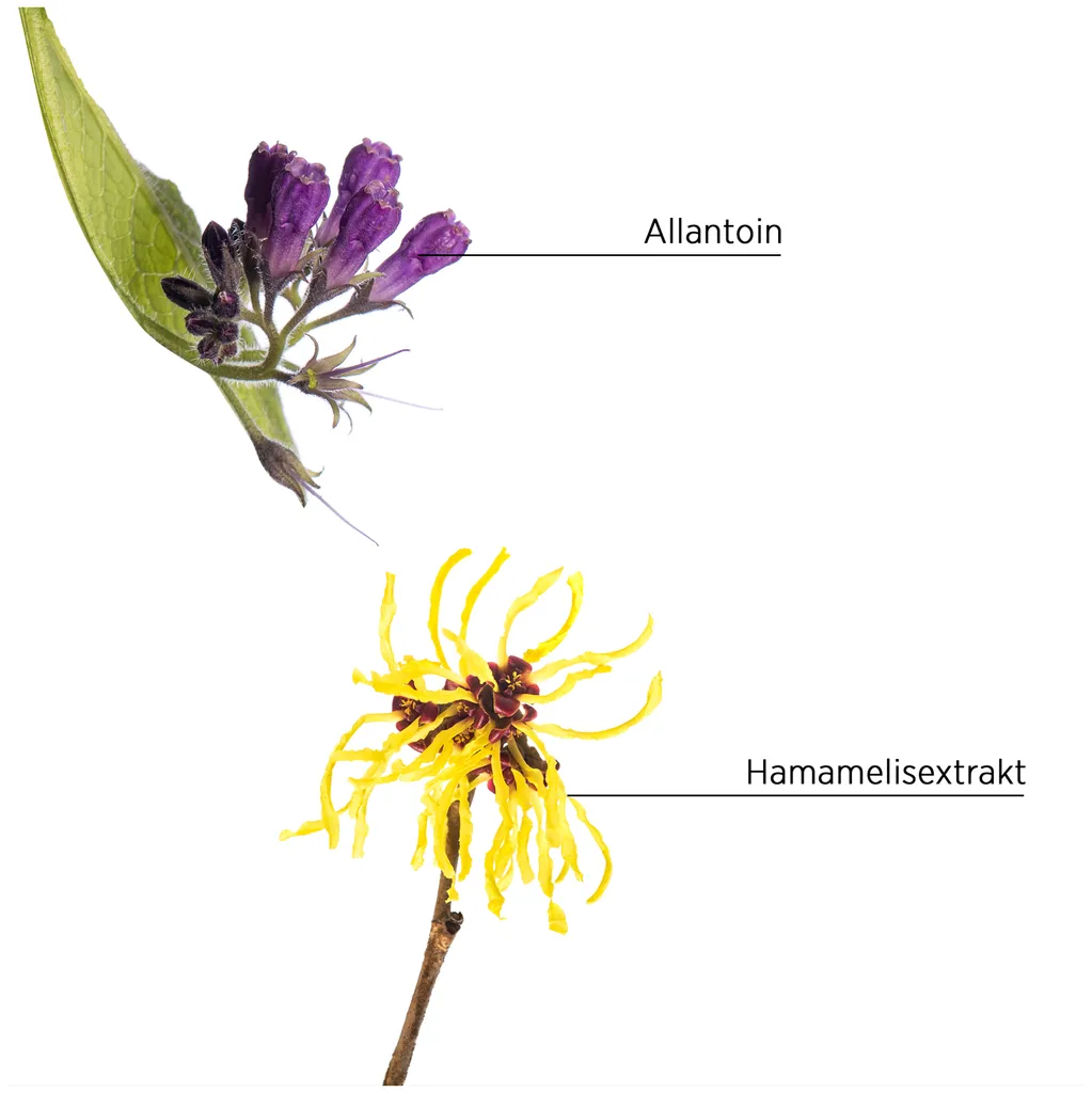 System Professional Lipid Code Purify Lotion antipelliculaire sans rinçage