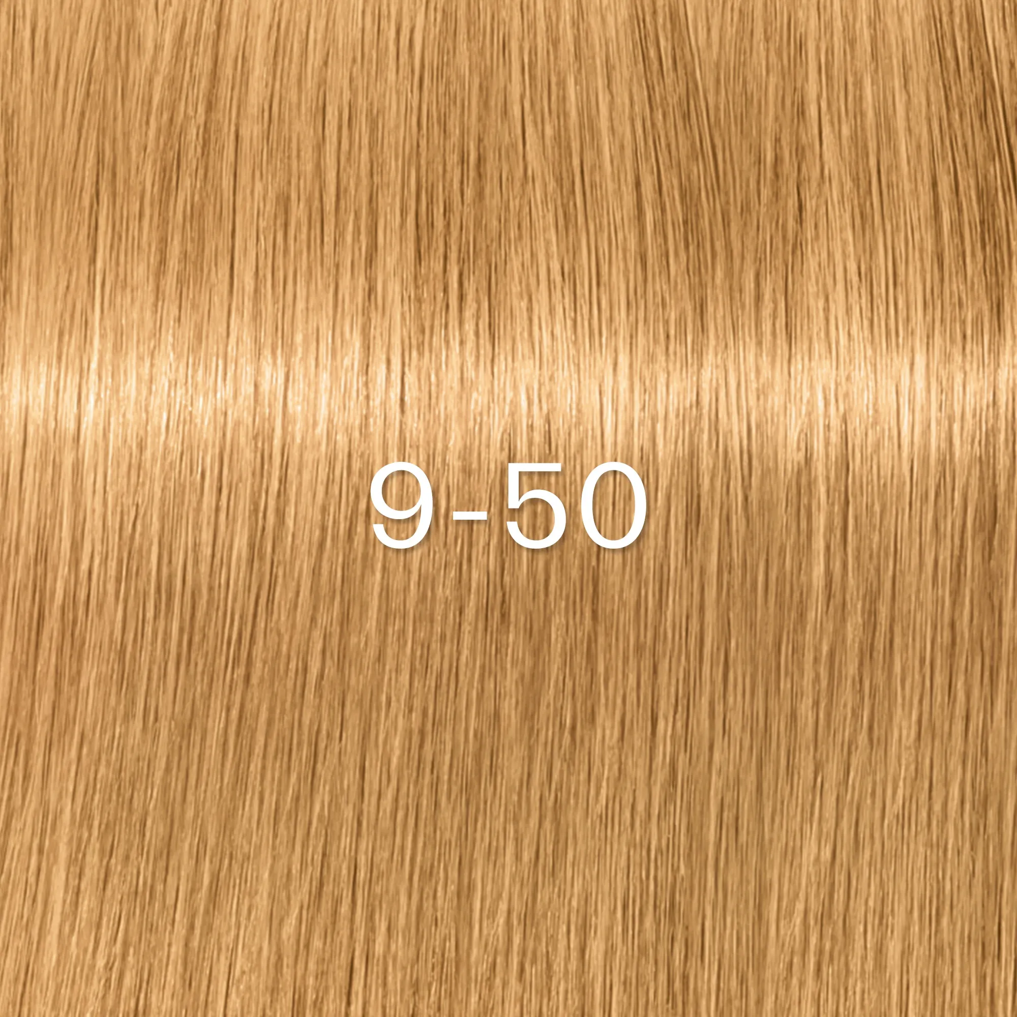 Schwarzkopf Igora Zero Amm - 4-0 Châtain moyen