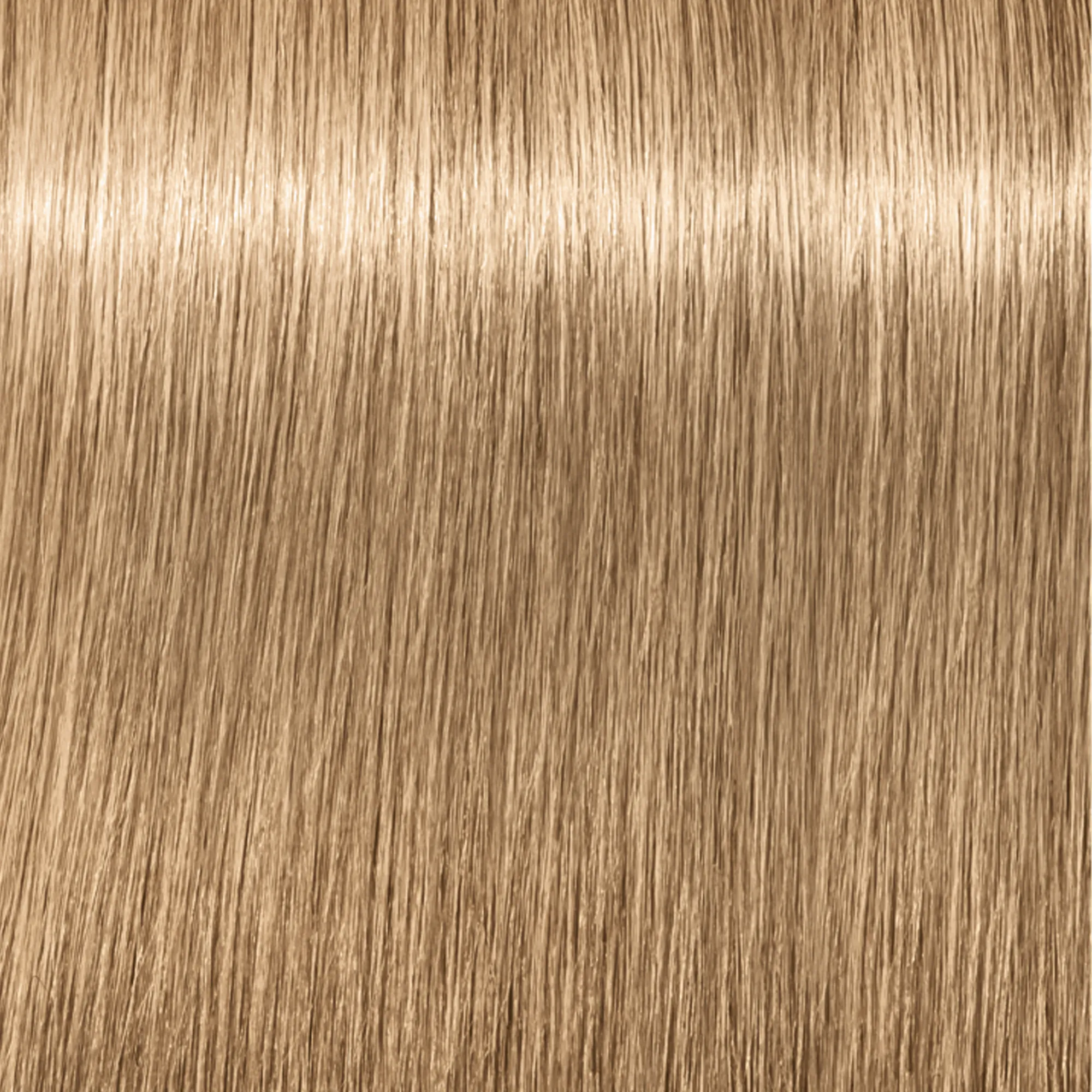 Schwarzkopf Igora Royal  - 1-0 Noir