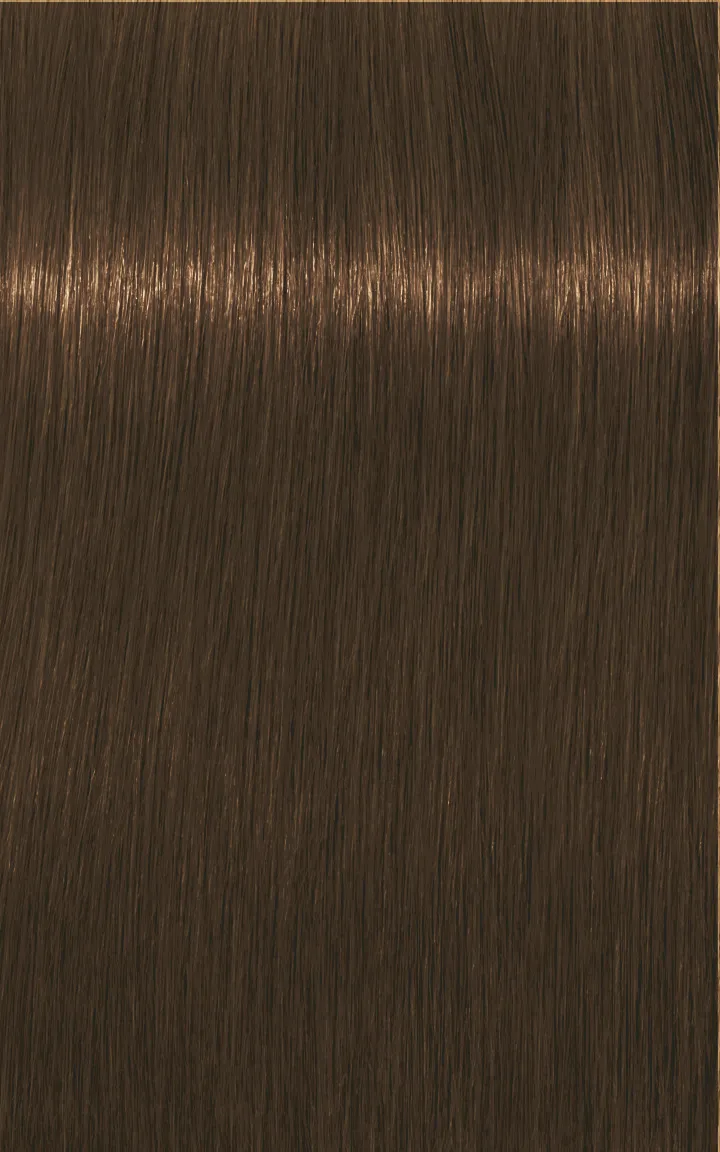 Schwarzkopf Igora Royal Absolutes - 4-60 Châtain moyen marron naturel