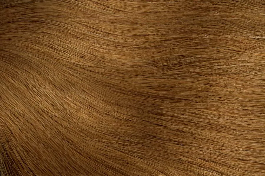 GoldFever Hair Tapes 45 cm