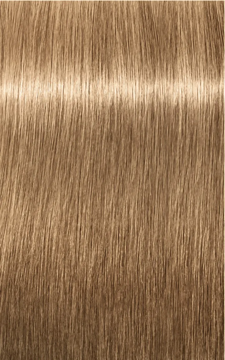 Schwarzkopf Igora Royal Absolutes - 4-60 Châtain moyen marron naturel